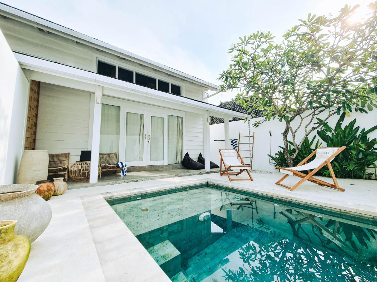 Tropical Loft, One BR With Pool - Chambres d’hôtes