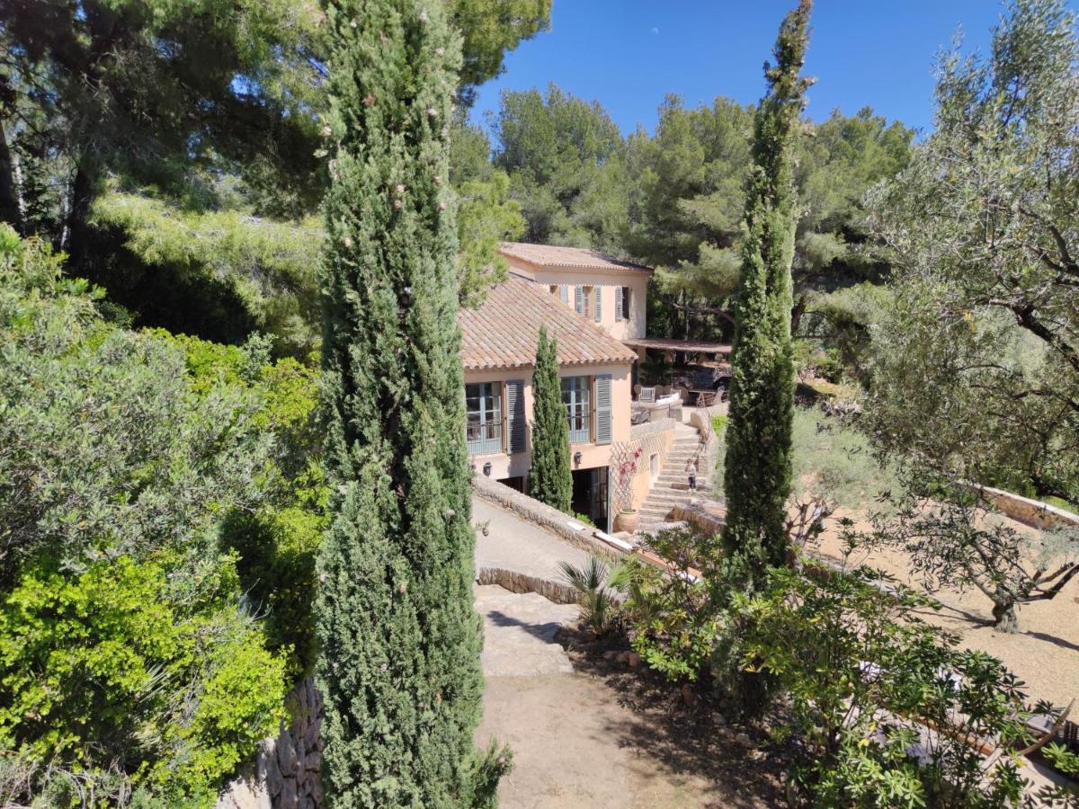 Villa des Oliviers - B&B