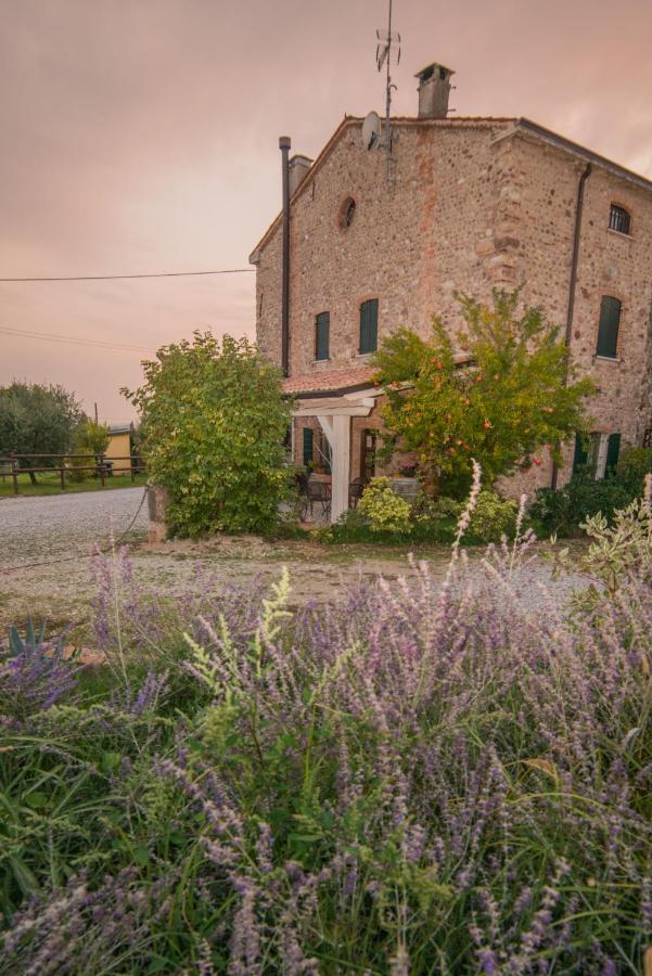 B&B il mio Casale - Bed and Breakfast