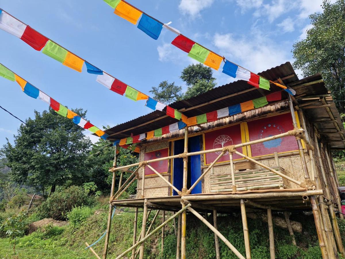 BiCa International Eco-community Village - B&B