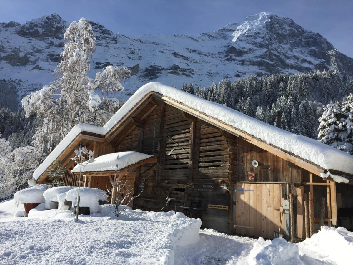 Eigerhome - The Cottage mit Wellness - GRIWA RENT AG - Ferienwohnung
