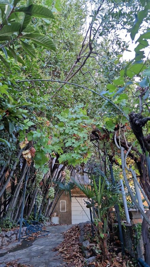 Secret villa's city garden - B&B Perugia