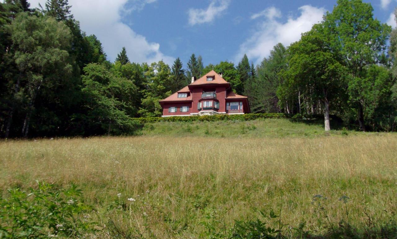 Villa Tadina Ferienwohnungen Mariazell - Ferienwohnung