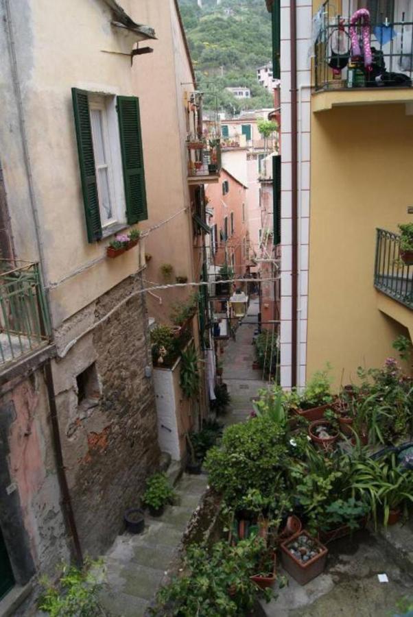 Pippo Cosy Studio Flat with AC - Ferienwohnung Monterosso al Mare