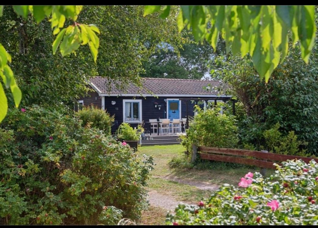 Sea Breeze Cottage - B&B