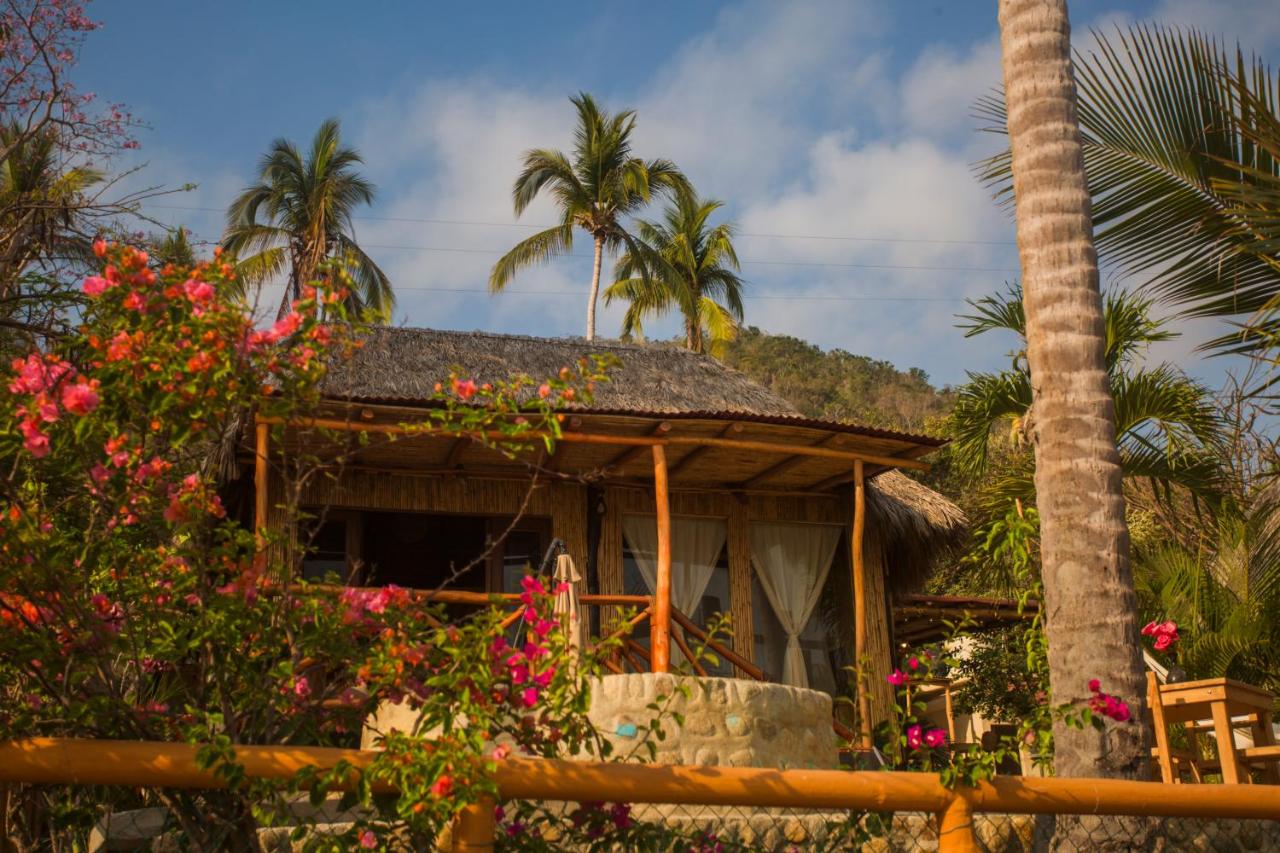 Panchos Paradise Cabaña Bamboo - B&B