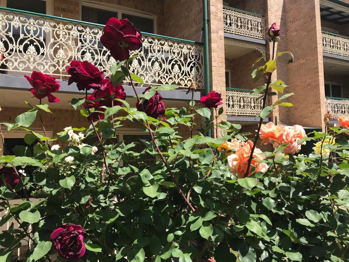 Executive 4BR 3Bath Entire Apartment in Heart of the City & Parking - B&B