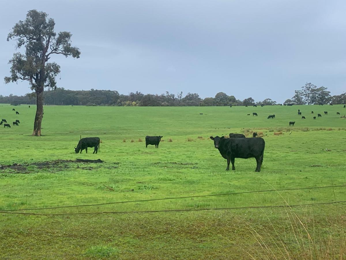 Lucky Charm Cottage - Bed and Breakfast Manjimup