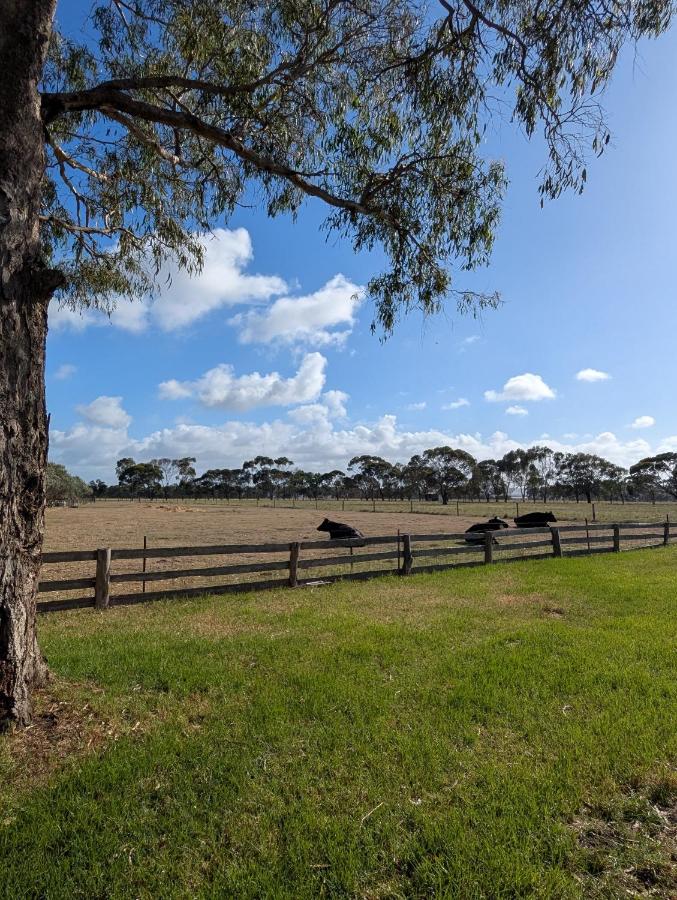 Cosy Connewarre Cottage - Ferienwohnung Connewarre