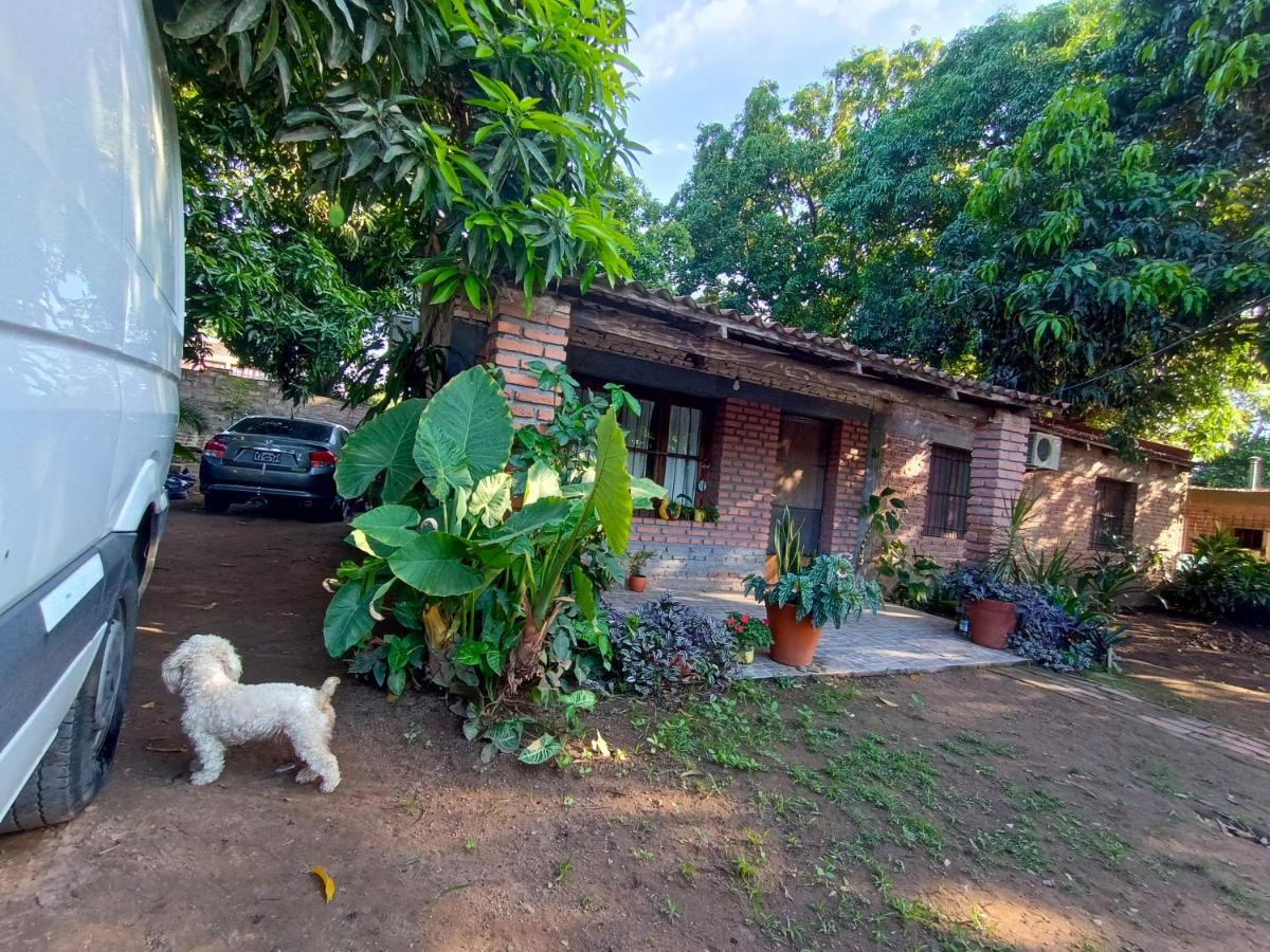 Entre Mangos y Tucanes - Bed and Breakfast Calilegua