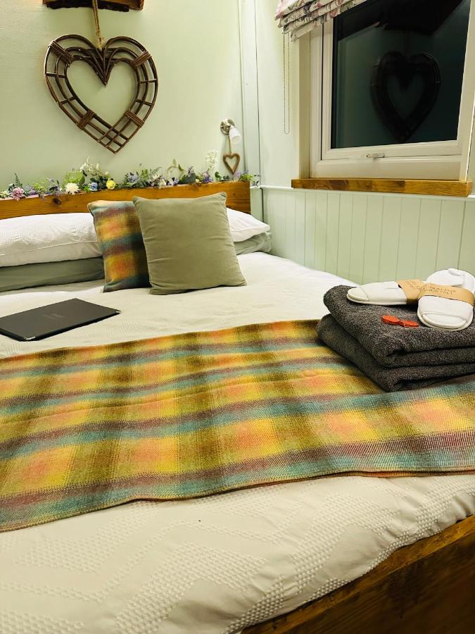 The original Sleeping Giant Lodge with hot tub & Alpacas - B&B Ystradgynlais