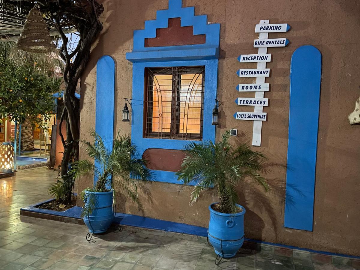 Riad Dades Birds - B&B Boumalne Dades