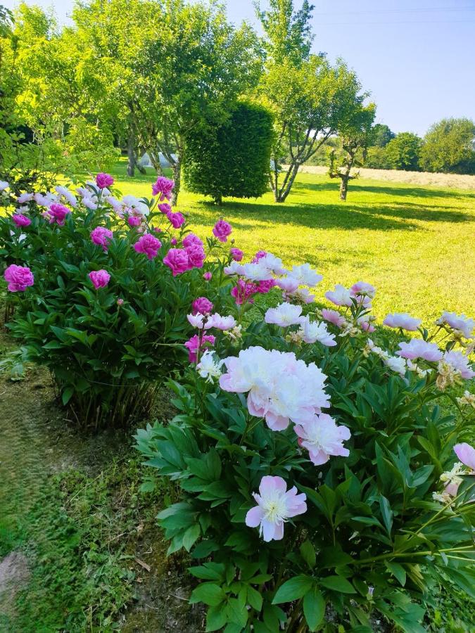 Gite La Roseraie maison au calme à la campagne - B&B La Chapelle-d'Angillon