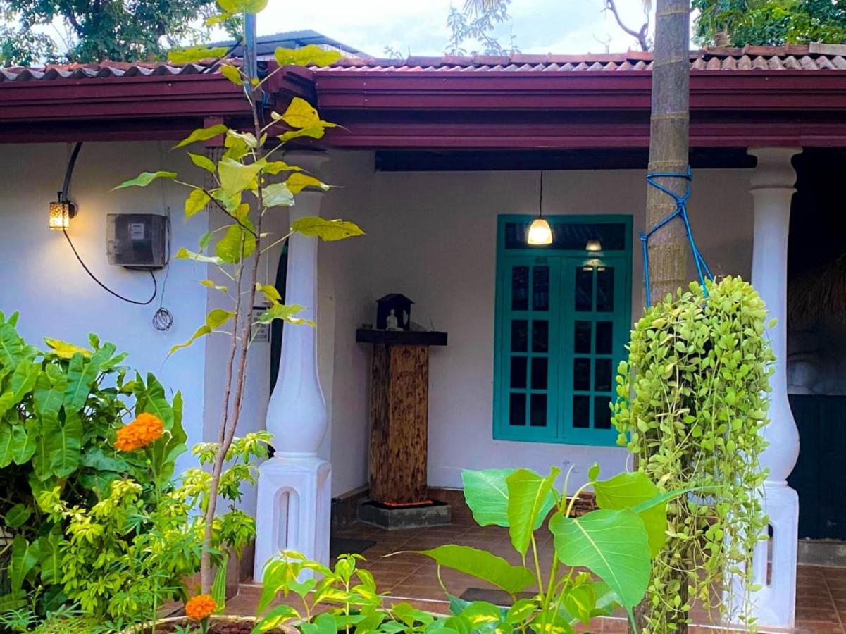 Edy's Nest - B&B