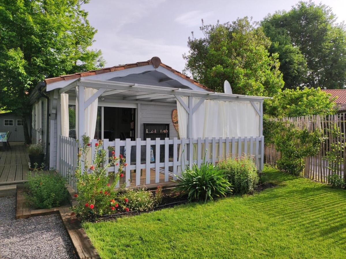 Chalet grand confort Bassin d'Arcachon - Bed and Breakfast La Teste-de-Buch
