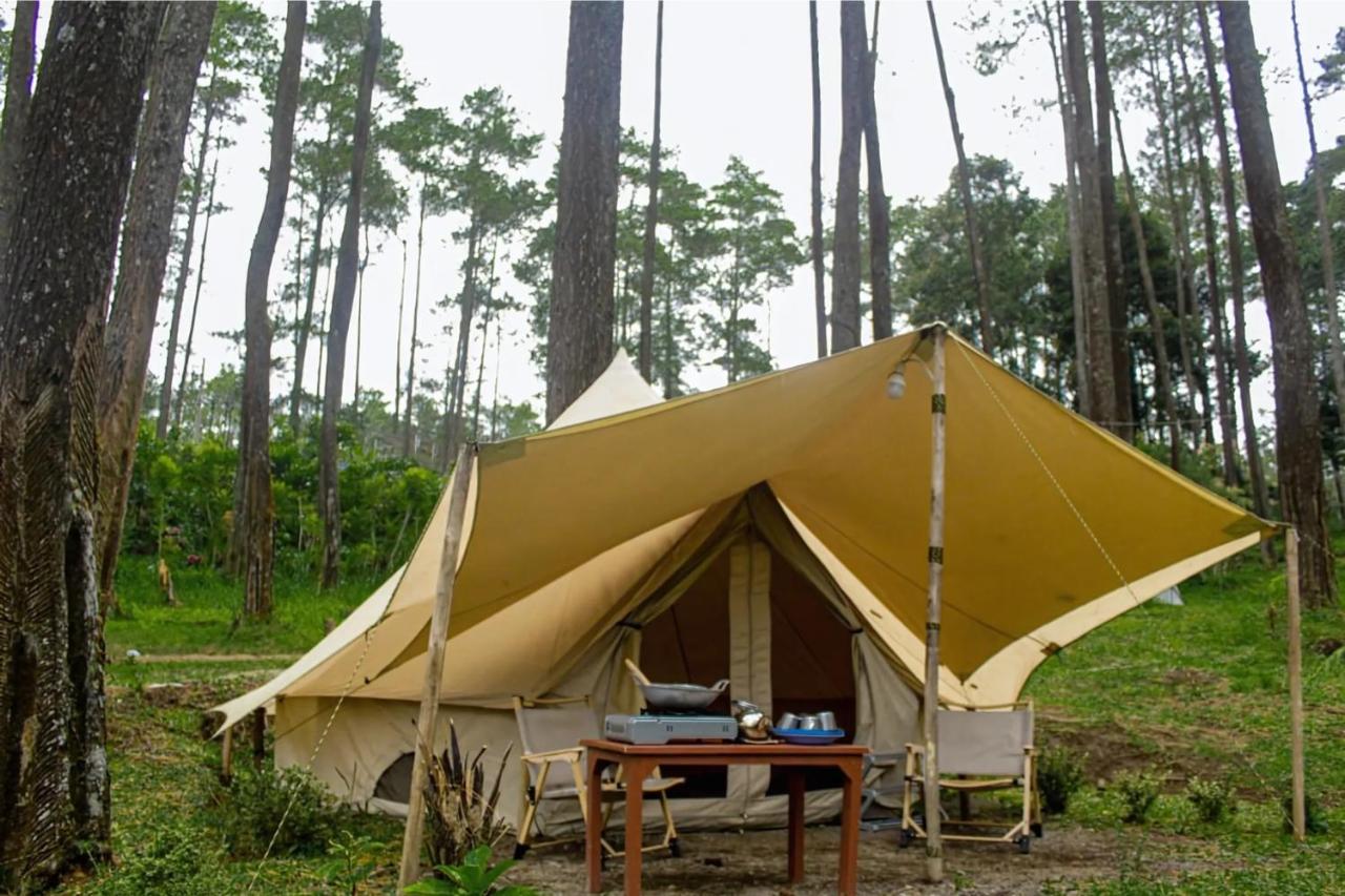 Lembah Pinus Cikole - Bed and Breakfast Tangkubanperahu