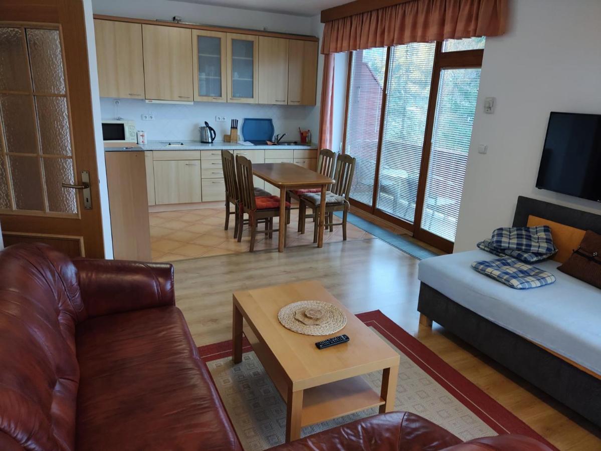 Apartment with 2 rooms and kitchen Pension Kubu - B&B