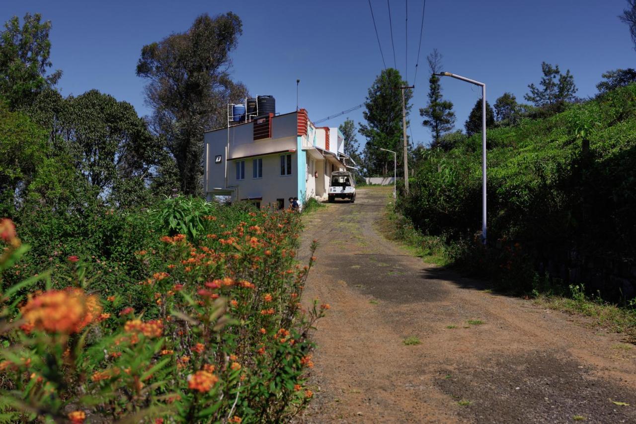 The Wild Wanderer Forest Cottage stay - B&B