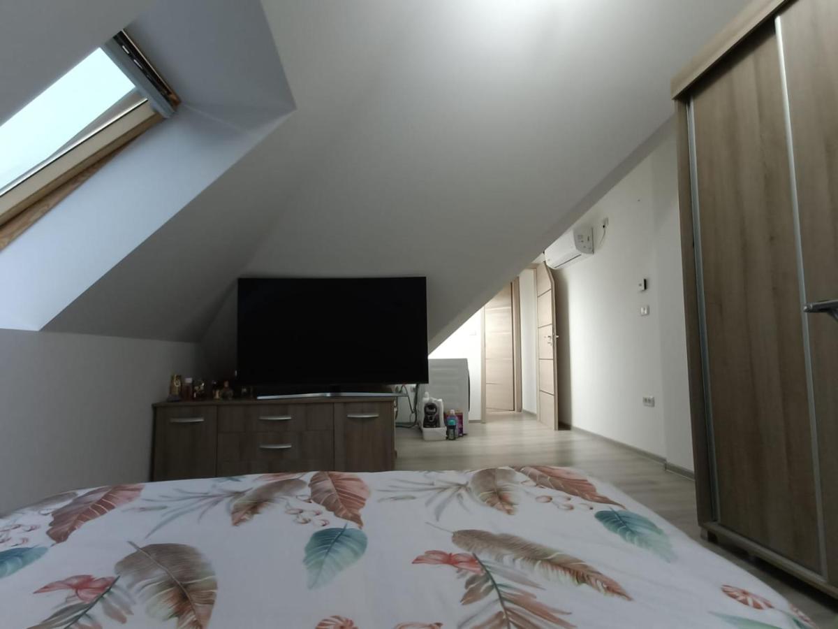 Muller Premium Suite 12 Iulius Mall - B&B