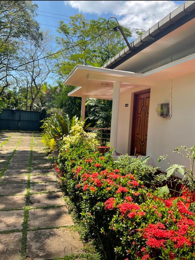 Southern Breeze Homestay Weligama - B&B