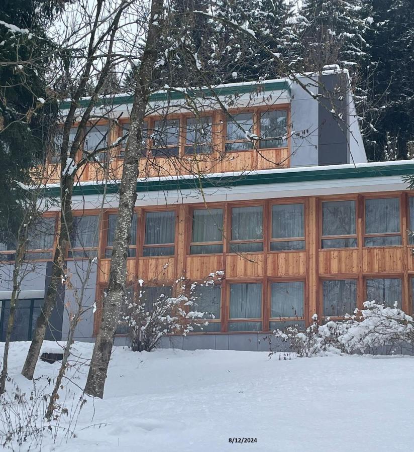 Amba Chalet Famiglia Cima - Quadrilocale 6 posti letto - B&B Mezzana