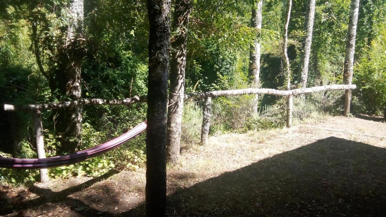 Cabaña en la naturaleza Futrono - Ferienwohnung