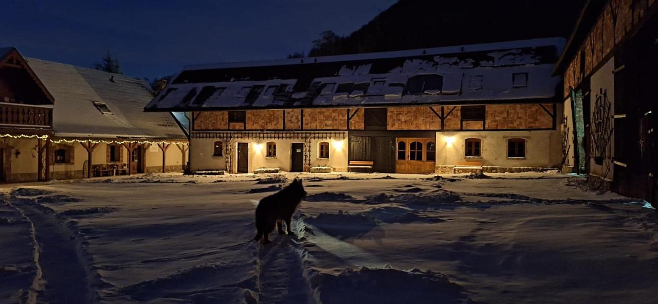 Jesionówka Apartamenty - B&B