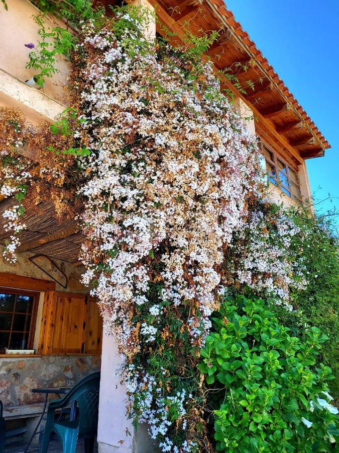 Casa Rural Balcón del Camino Viejo - B&B Valencia de Alcántara