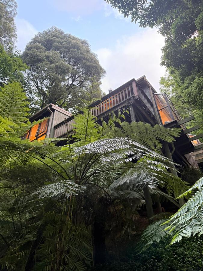 Sassafras Treehouse Private home in the Dandenong Ranges, Victoria - B&B Sassafras