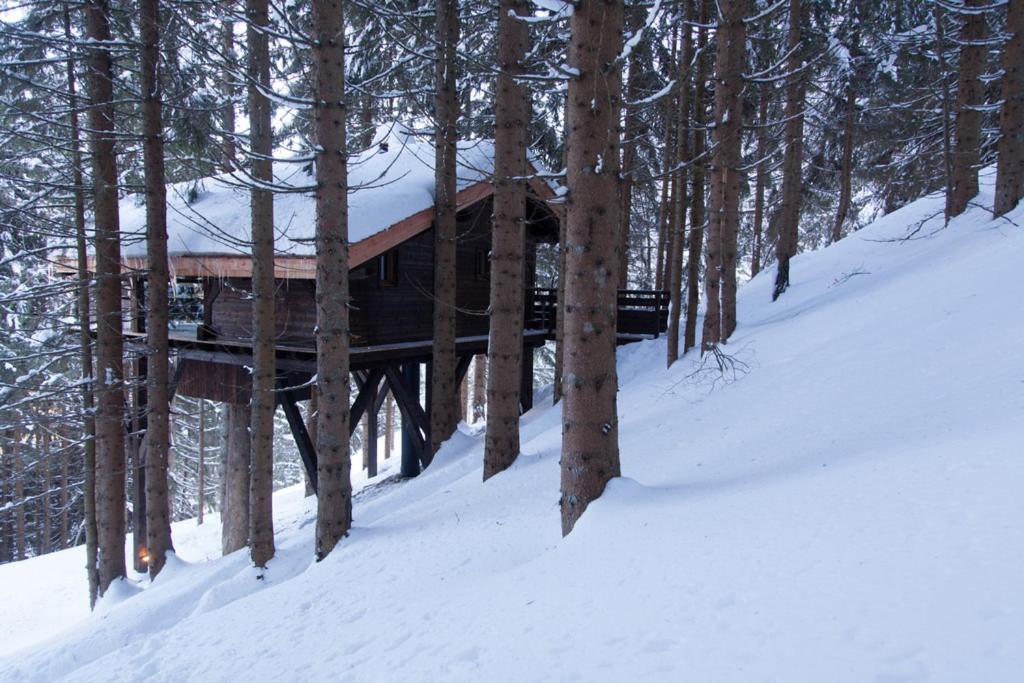 Cabane dans les arbres MONT-BLANC