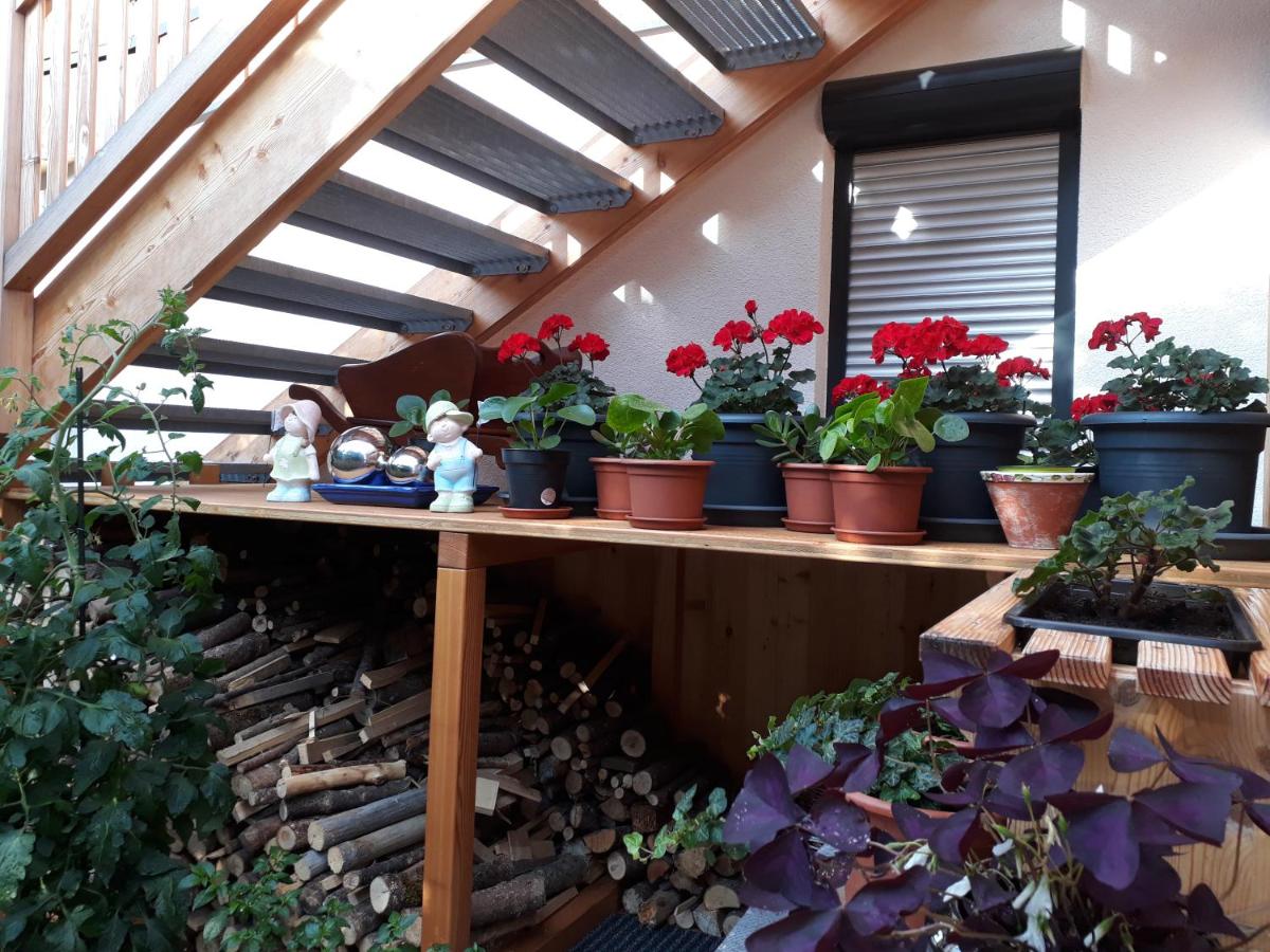 Apartchalet Sisi- including Saalfelden Leogang Card - B&B