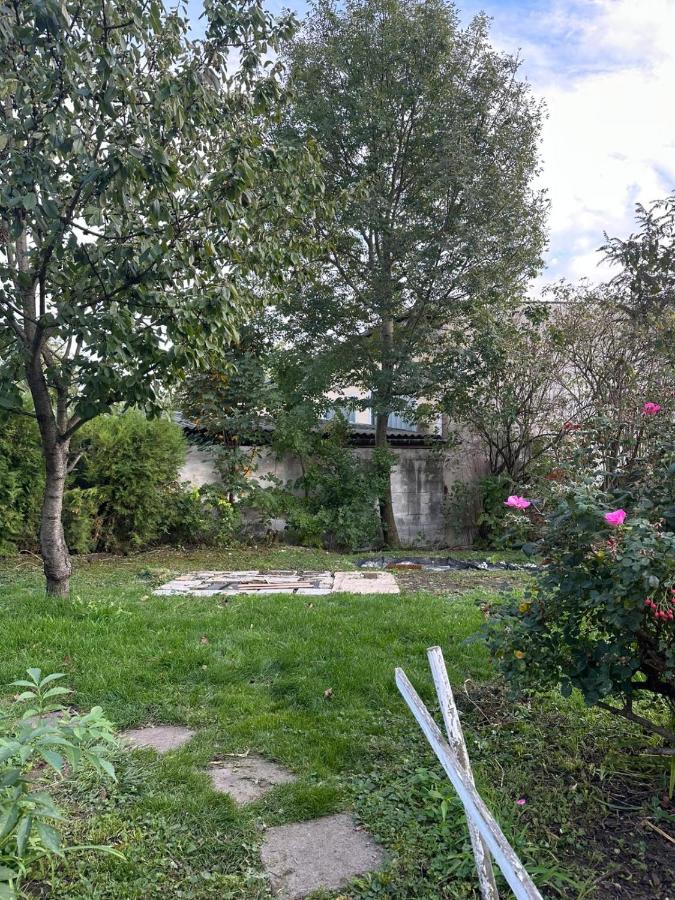 Wohnen mit Garten Lillys 3 oder Julis 1 - B&B