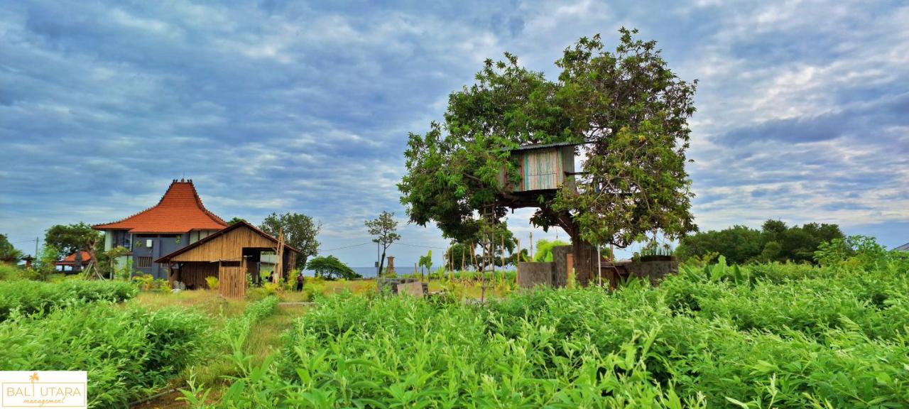 A Mango Tree House with a private swimming pool - B&B
