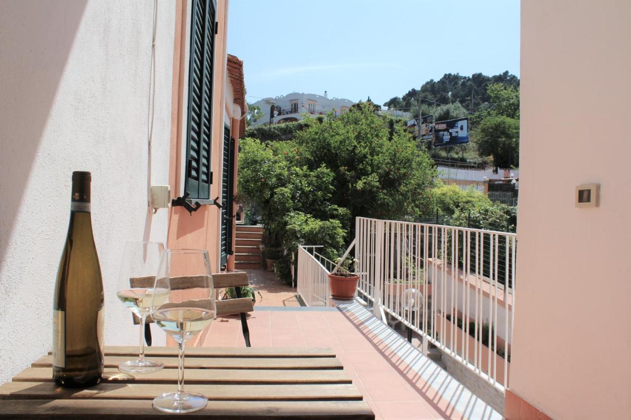 Le Radici - Monolocale Relax con Loggia - B&B