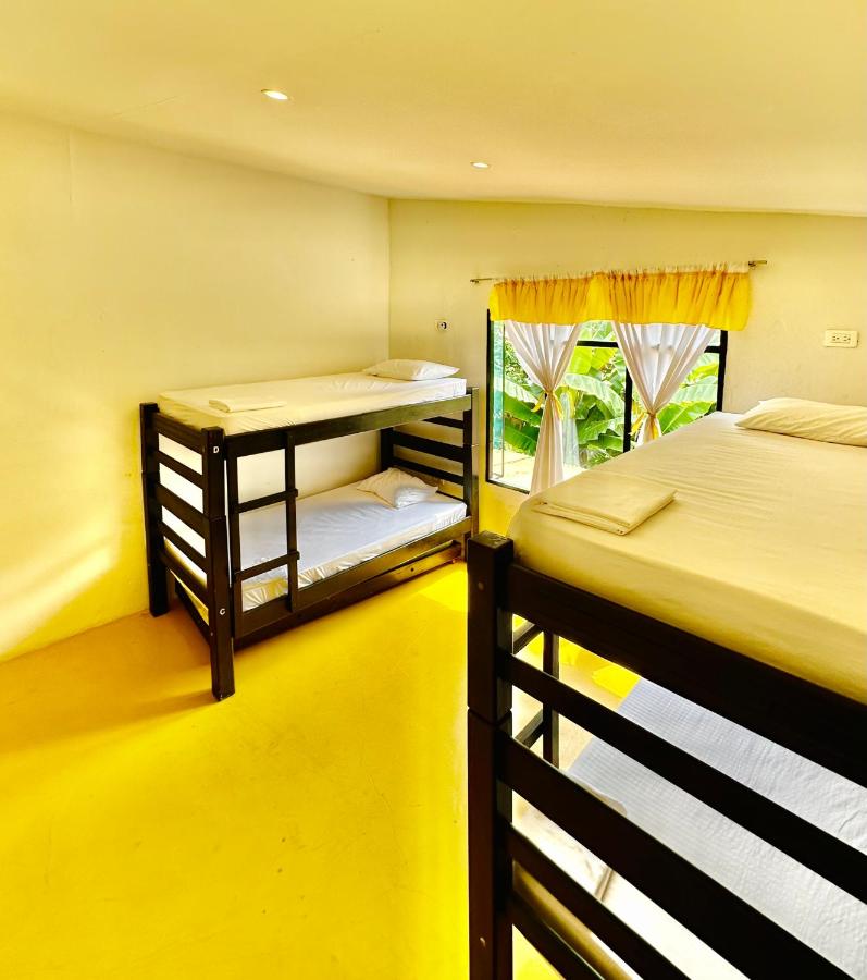 4-Bed Mixed Dormitory Room