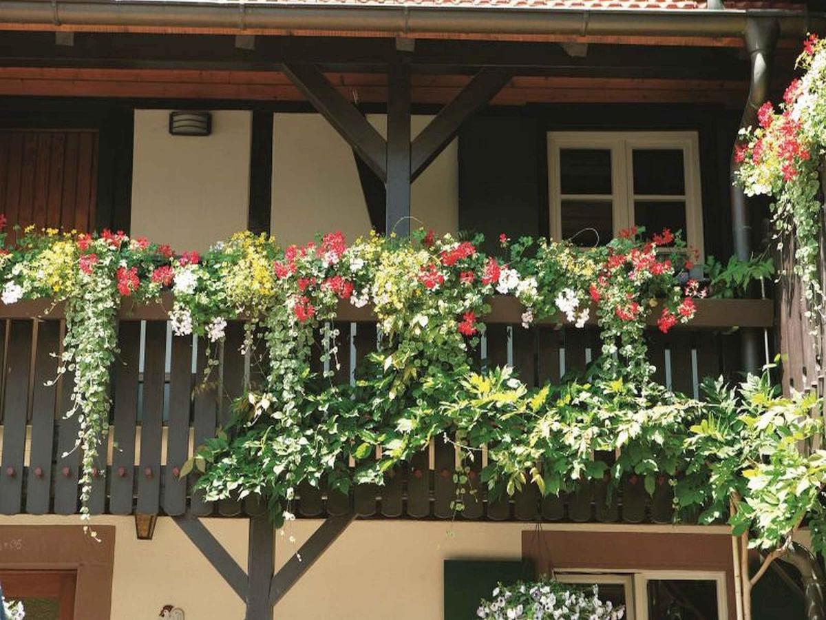 Weingut Alfred Huber - Ferienwohnung