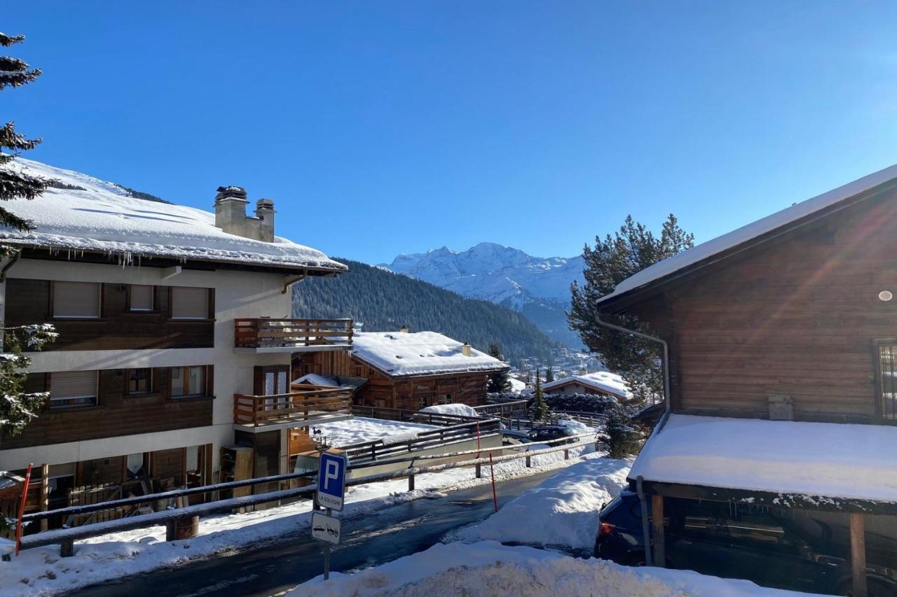 Sologne 024 - Ferienwohnung Verbier