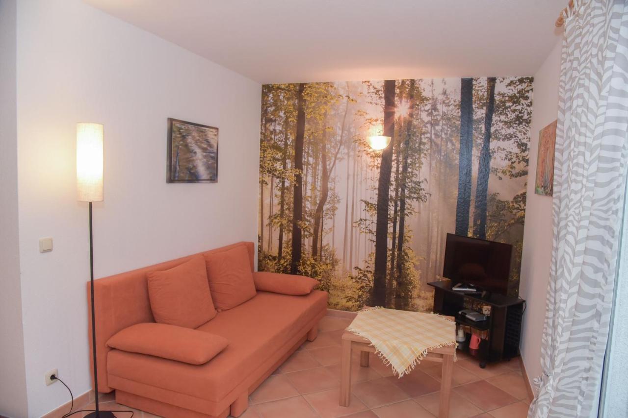 Apartamento Estándar con terraza
