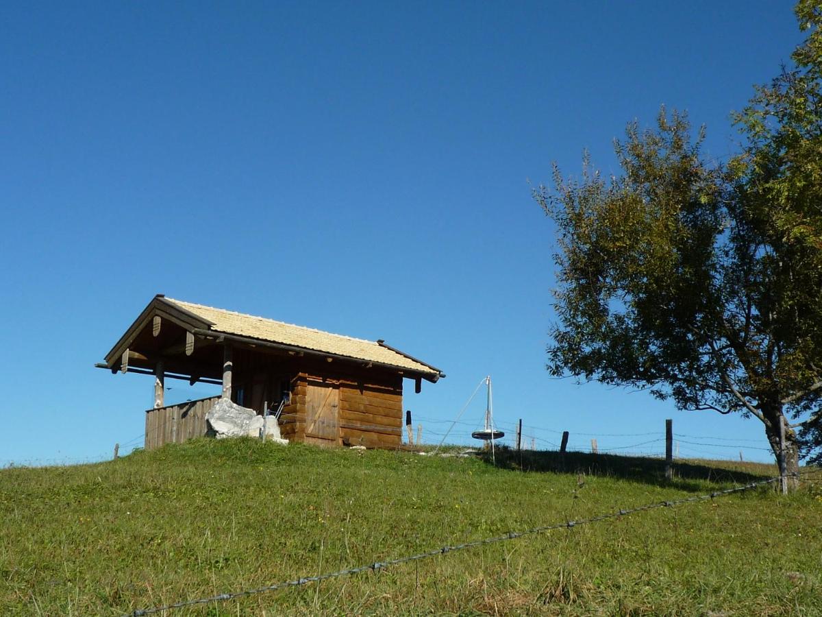 Siglhof am Pattenberg - Ferienwohnung Bergen