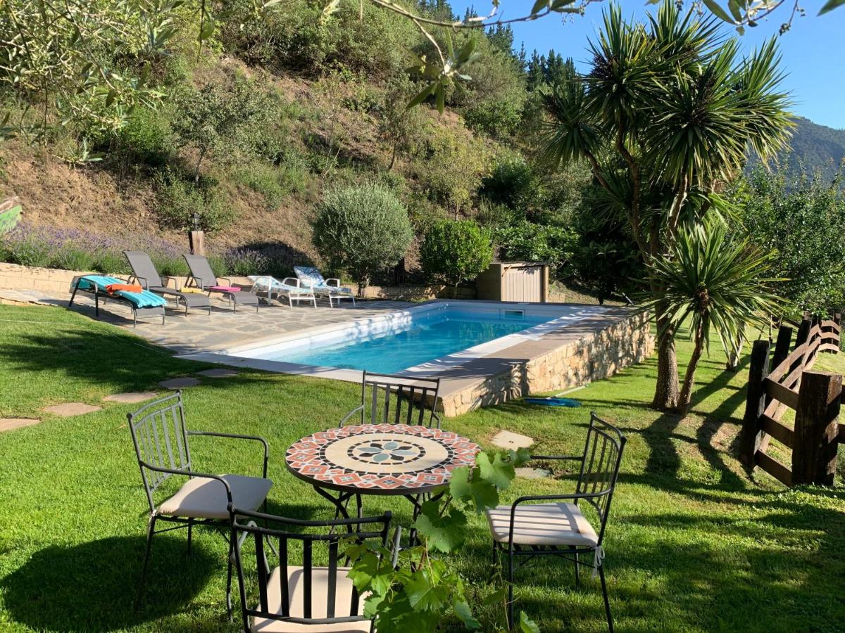 La Finca Roja - Apartment 1, apartment 2, Chalet - Chambres d’hôtes