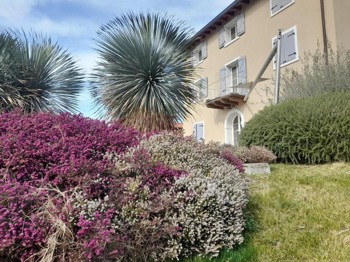 WELCOME TRAVELLER BiancaLeo Apartments - Bed and Breakfast Affi