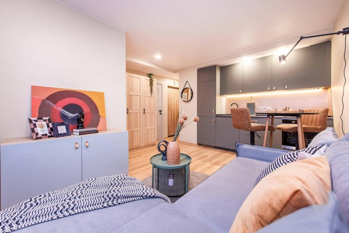 Cozy flat in Antakalnis - B&B Vilnius