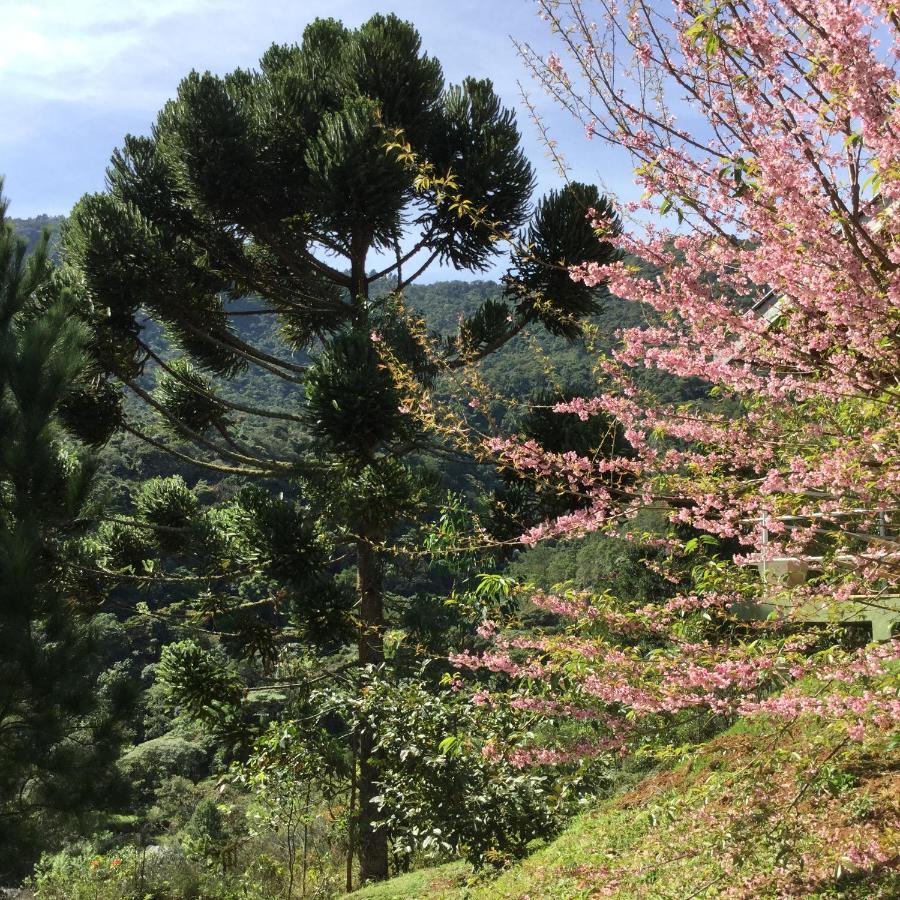 Abrigo da Reserva - B&B Santo Antônio do Pinhal