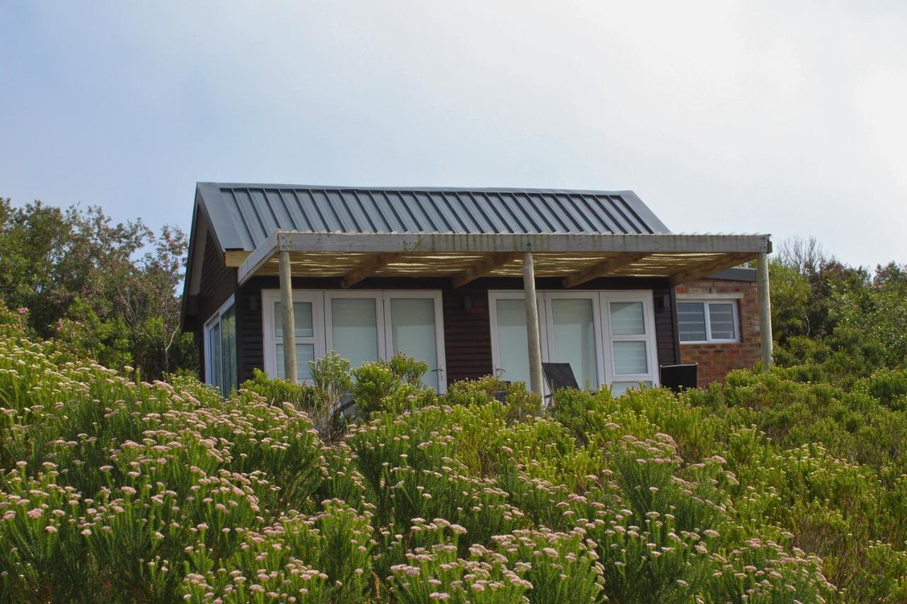 Sea Views, Hikes & Tranquility Wildside Cabin - B&B