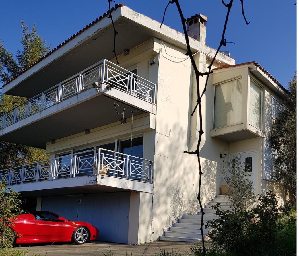 Beachfront House Villa 35min from Athens - B&B