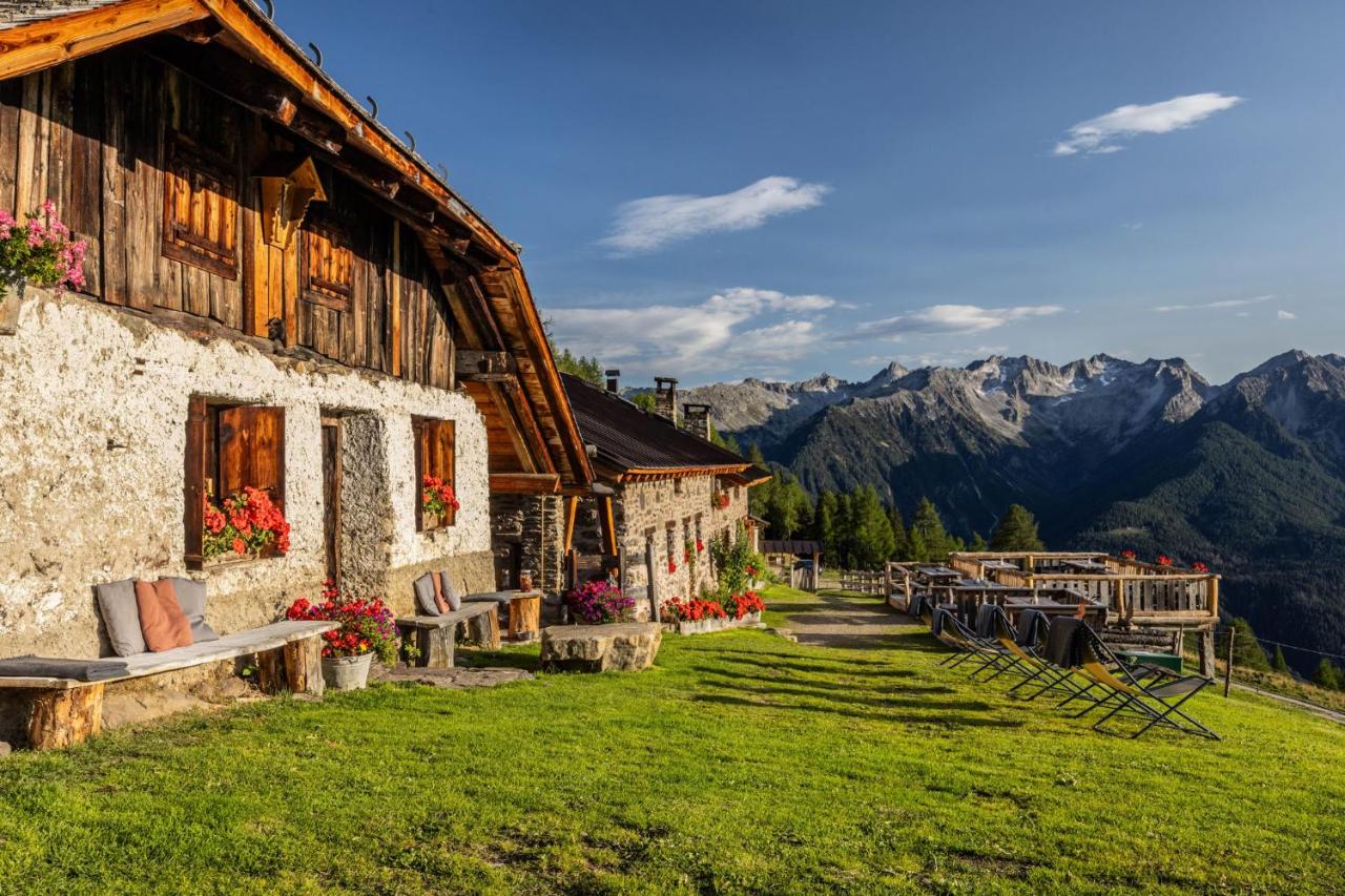 Nestalp Malga Campo - B&B Peio