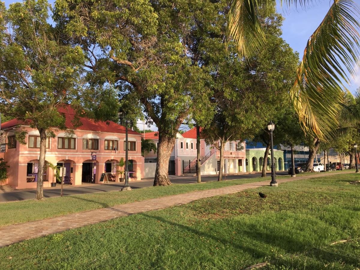 The Heart of Frederiksted - Steps Away from the Beach - B&B