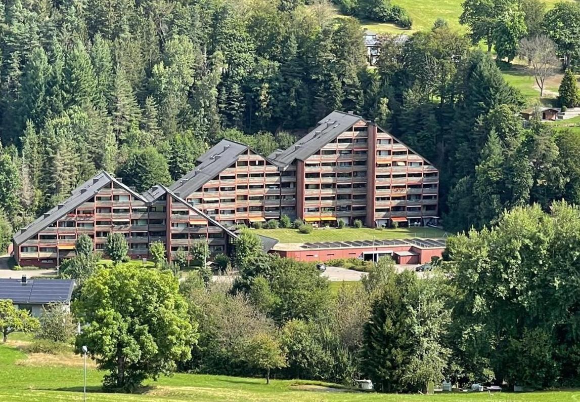 Schwarzwaldträumchen, Südbalkon, Hallenbad, TG - Ferienwohnung Baiersbronn