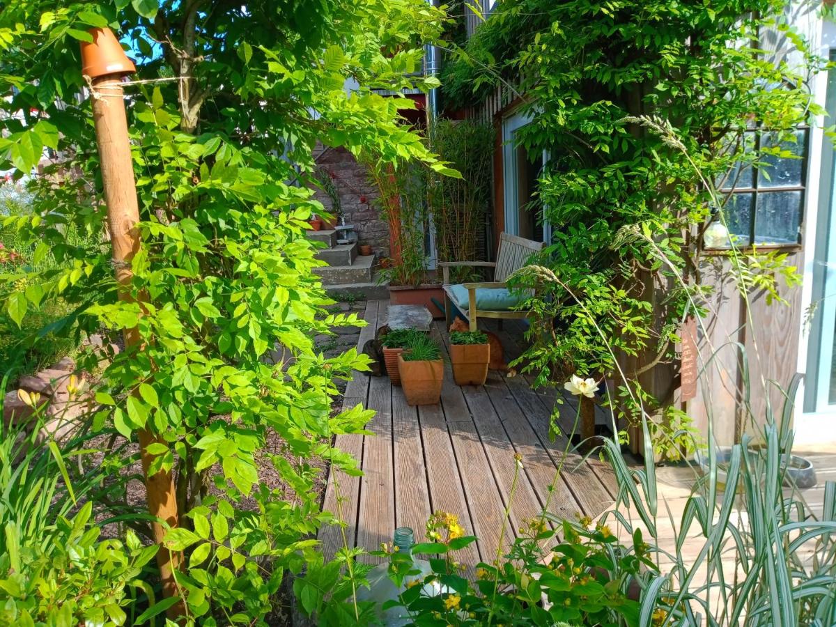 Villa Kleinod - B&B