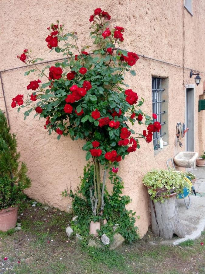 Casa di Campagna Il Granaio - B&B Barberino di Mugello